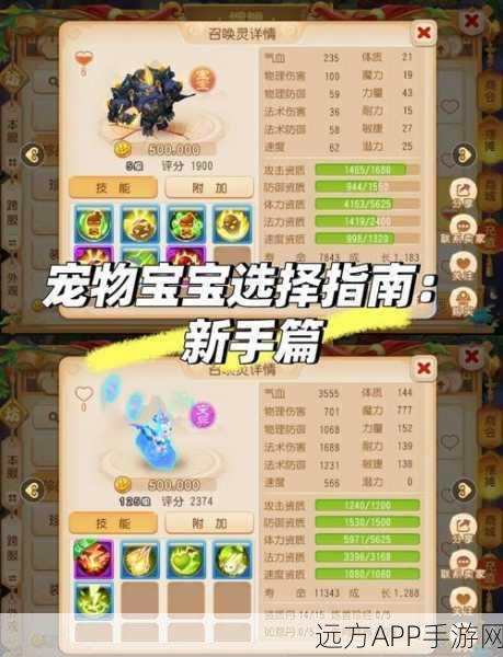 炫舞宠物冲级秘籍,从 20 级到 30 级的进阶之路