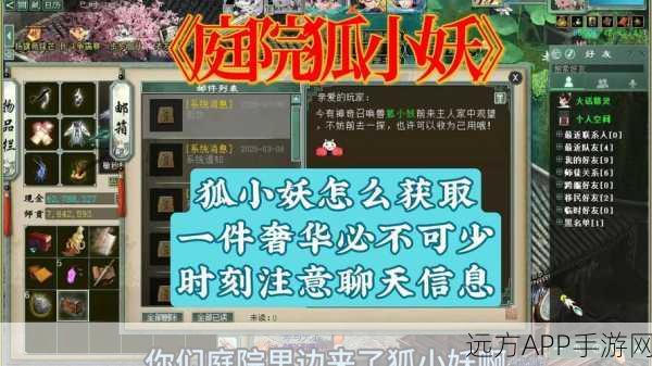 独家秘籍!一起来捉妖幼尾狐单刷全攻略
