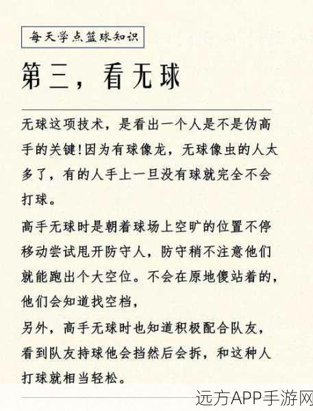街头篮球高手秘籍,中锋如何精准抢板称霸球场