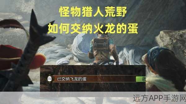 怪物猎人崛起，搬蛋高手速成秘籍，无搬运达人也能轻松驾驭
