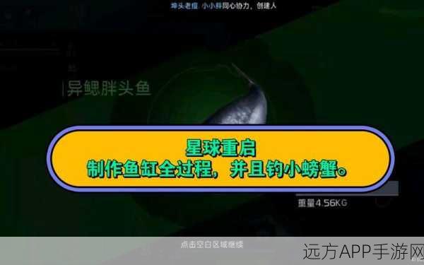 星球重启,打造完美鱼缸的绝佳秘籍