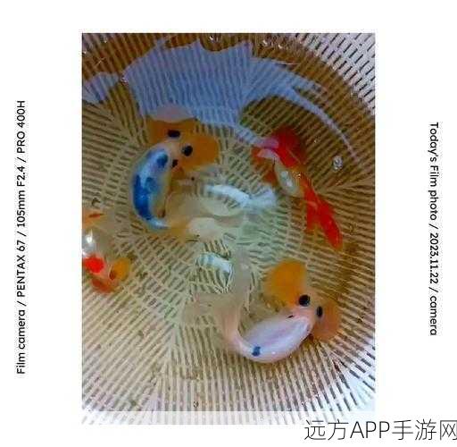 星球重启,打造完美鱼缸的绝佳秘籍