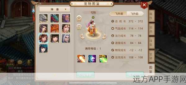 问道精灵进化全攻略,必备条件大揭秘