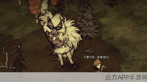饥荒世界保暖大赛,揭秘最强保暖帽子的终极对决