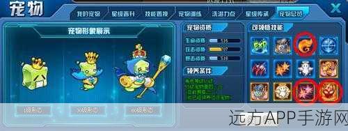 朔风降临,花千骨手游全新角色深度解析与图鉴