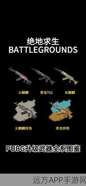 绝地求生改名秘籍大公开!你不可错过的详细攻略