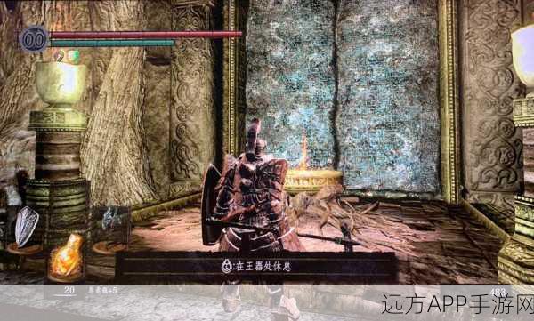 黑暗之魂重制版,全面解析余烬收集策略与技巧