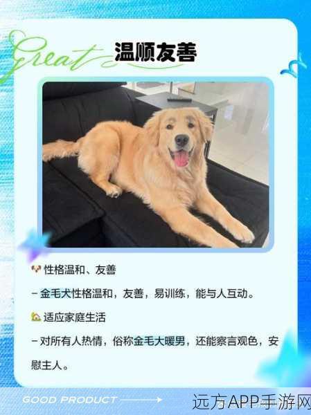 我的脑瓜贼 6 第三关通关秘籍大揭秘