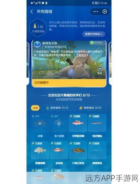 探寻海陆缓冲带之谜,支付宝神奇海洋 2024.12.2 最新答案揭晓