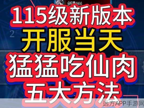 小小仙王开服首日保姆级致胜攻略秘籍