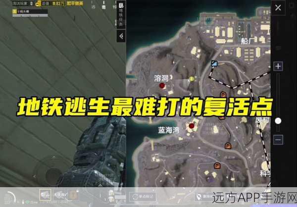 和平精英,探秘胡萝卜屋与桂花林河灯的神秘位置