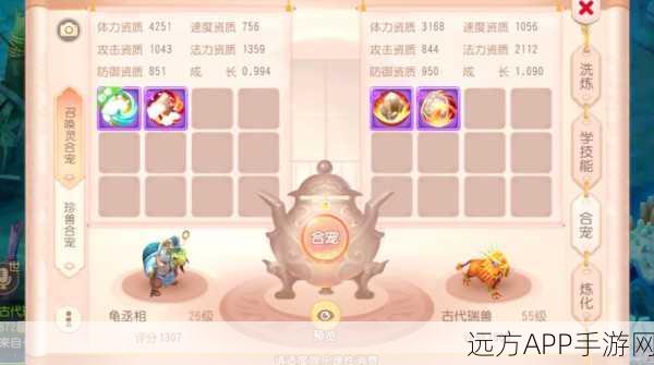 梦幻西游手游新风尚,法宠纹饰精选攻略,打造个性宠物引领潮流