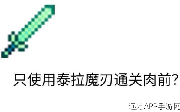 泰拉瑞亚骷髅王挑战赛，揭秘制胜武器与终极战斗策略