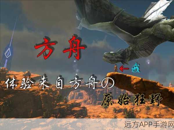 神秘方舟矿洞探险,揭秘珍稀头盔获取攻略与生存进化大赛