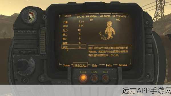 辐射:新维加斯深度图文攻略,解锁废土冒险全秘籍