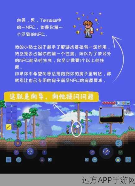泰拉瑞亚火焰花速刷攻略，全面揭秘高效获取途径与技巧