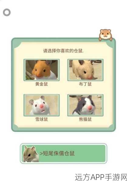 仓鼠小镇安卓钻石星星版,打造梦幻模拟经营乐园,下载开启新篇章