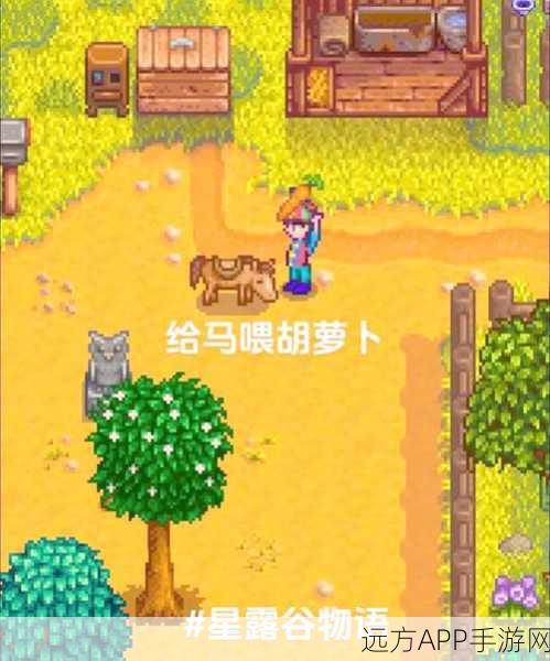 星露谷物语，探寻神秘虚空蛋的独家获取秘籍