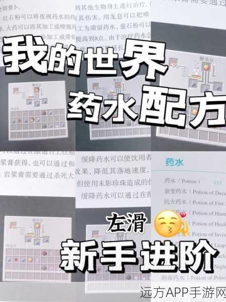 我的世界中国版高手秘籍,物品存储与整理的艺术
