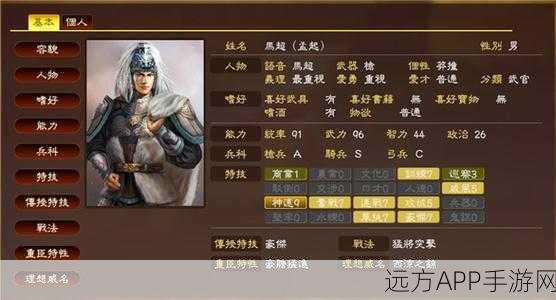 三国志13威力加强版，顶尖战法深度解析与实战应用