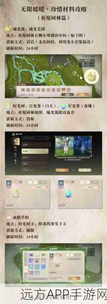 探秘无限暖暖,衬衫毛团的获取秘籍与位置指南