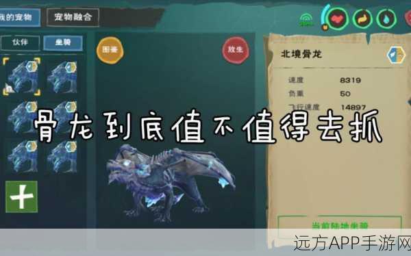 揭秘创造与魔法北境骨龙刷新机制与高效捕捉策略
