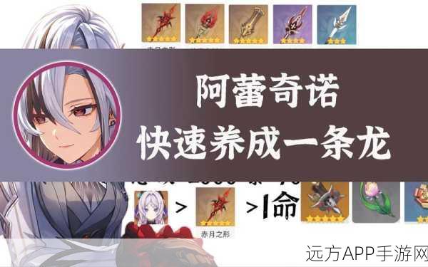 原神，仆人阿蕾奇诺全方位养成秘籍