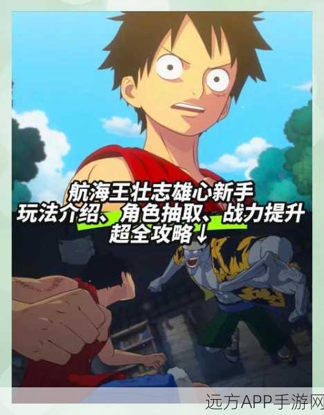 航海王壮志雄心，金刚体技能深度剖析与竞技场实战策略