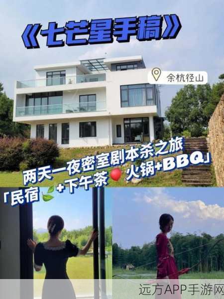 百变大侦探挑战升级,揭秘诺亚方舟密码的烧脑之旅