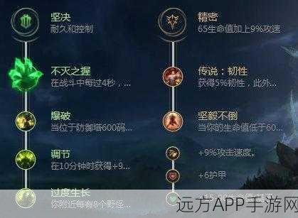 制霸峡谷,LOL 光辉出装秘籍,高伤出装策略大揭秘