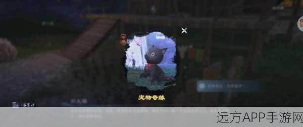剑三奇遇宠物摸一圈的终极玩法指南