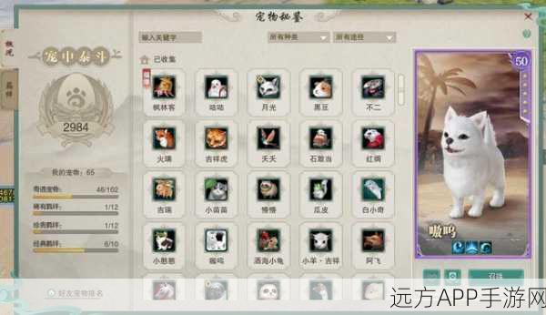 剑三奇遇宠物摸一圈的终极玩法指南
