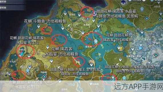 原神钓鱼攻略，炮鲀出没地点与时间全解析，助你轻松钓得稀有鱼种