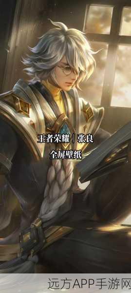 王者荣耀巅峰对决，张良与王昭君，谁才是最强工具人？
