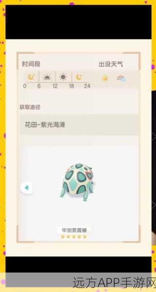 心动小镇，探寻毕加索盾蝽的神秘藏身之地