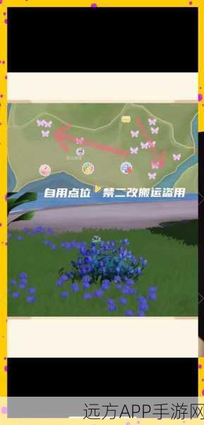 心动小镇,探寻毕加索盾蝽的神秘藏身之地
