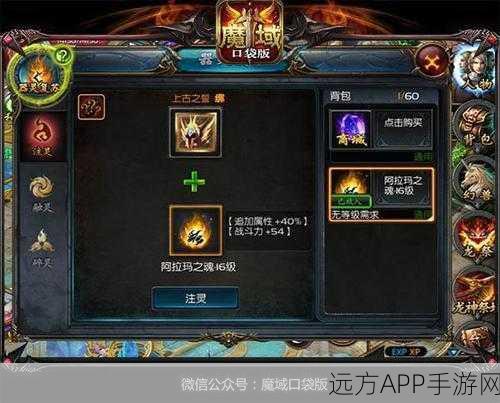 魔域飞速进阶秘籍,新手蜕变高手的实战攻略