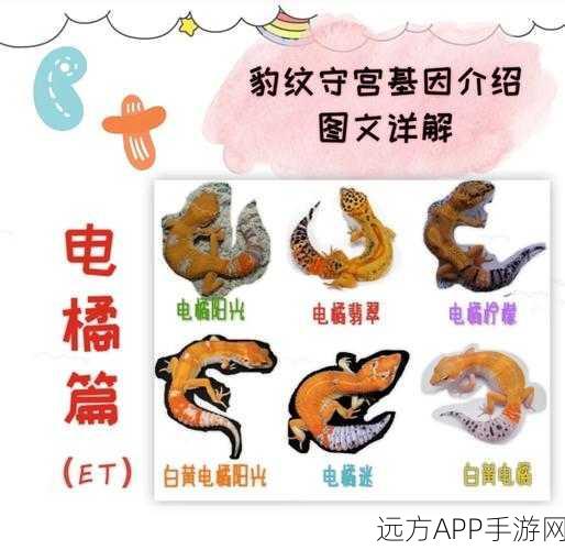 独家秘籍,轻松打造创造与魔法中的豹纹防具