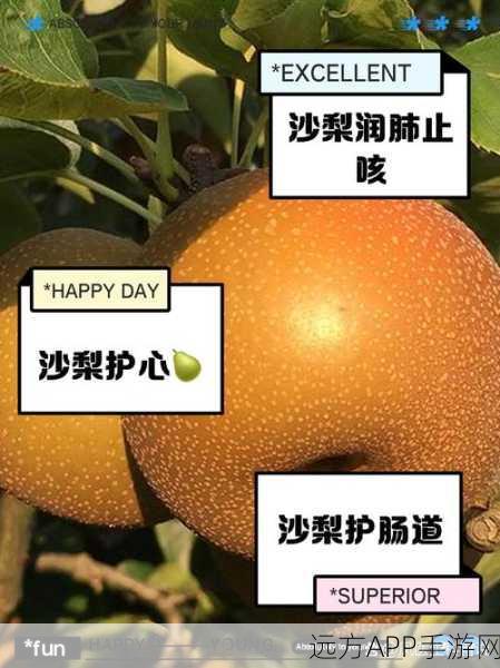永劫无间,沙梨圣果的神秘吃法大揭秘