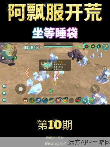 玩转创造与魔法睡袋，秘籍大公开