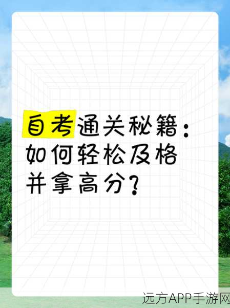 汉字魔法寻蝶秘籍，轻松通关指南