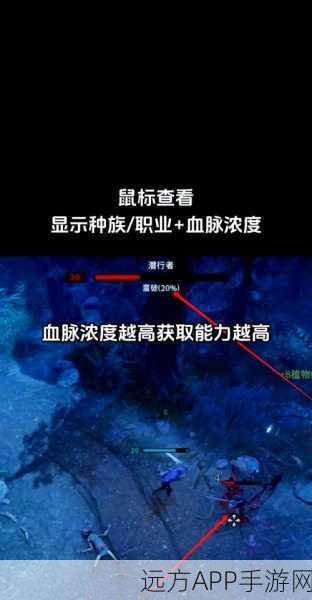 夜族崛起神秘混沌弓箭手莉迪亚藏身何处？探寻攻略！