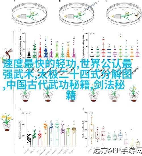 幻塔高手秘籍，冰风之矢连招精髓与实战组合技全解析