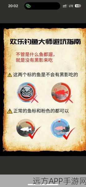 欢乐钓鱼大师，揭秘刀疤鱼大鱼的高效捕获策略