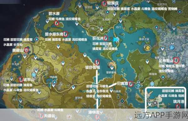 原神钓鱼攻略,请假龙垂钓地点全揭秘,助你轻松满载而归