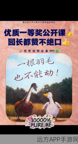原神奇趣之旅，揭秘奇特羽毛道具的全方位获取秘籍及赛事亮点