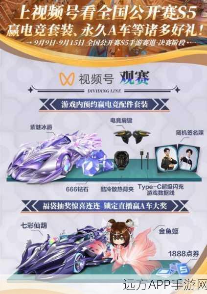 QQ飞车手游，尊享皇冠特权全解析，豪华礼遇与赛事福利一网打尽