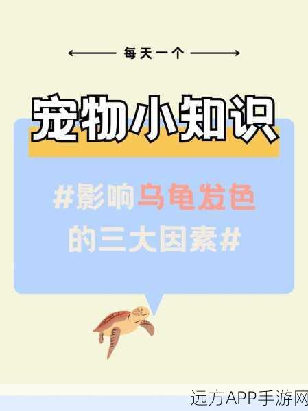 创造与魔法深度攻略，掌握驯服乌龟的秘诀，打造你的奇幻宠物军团！