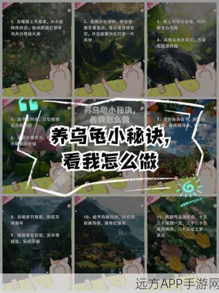 创造与魔法深度攻略，掌握驯服乌龟的秘诀，打造你的奇幻宠物军团！