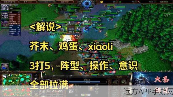 魔兽争霸顶尖高手档案，揭秘职业选手荣耀之路
